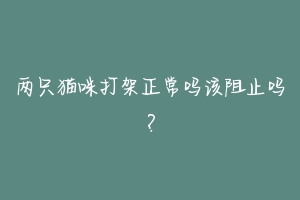 两只猫咪打架正常吗该阻止吗?-动物百科