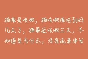 猫像是咳嗽,猫咳嗽像呛到好几天了,猫最近咳嗽三天,不知道是为什么,没有流鼻涕发烧什么的?-动物百科