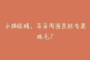 小猫眼睛、耳朵周围皮肤变黑脱毛?-动物百科