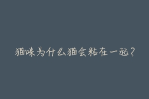 猫咪为什么猫会粘在一起?-动物百科