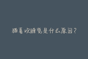 猫喜欢睡觉是什么原因?-动物百科