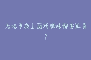 为啥半夜上厕所猫咪都要跟着?-动物百科