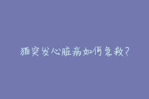 猫突发心脏病如何急救?-动物百科