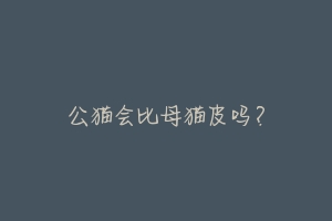 公猫会比母猫皮吗?-动物百科