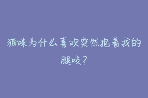 猫咪为什么喜欢突然抱着我的腿咬?-动物百科