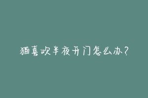 猫喜欢半夜开门怎么办？-动物百科