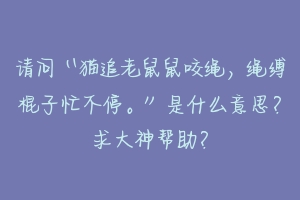 请问“猫追老鼠鼠咬绳,绳缚棍子忙不停。”是什么意思?求大神帮助?-动物百科