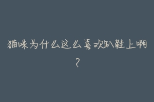 猫咪为什么这么喜欢趴鞋上啊?-动物百科