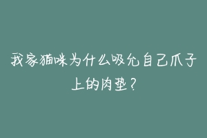 我家猫咪为什么吸允自己爪子上的肉垫?-动物百科
