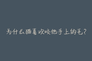 为什么猫喜欢咬他手上的毛?-动物百科