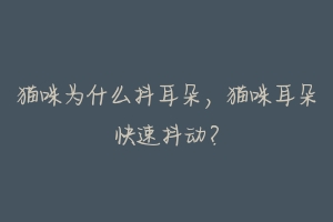 猫咪为什么抖耳朵,猫咪耳朵快速抖动?-动物百科