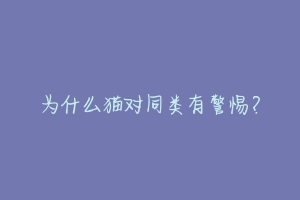 为什么猫对同类有警惕?-动物百科