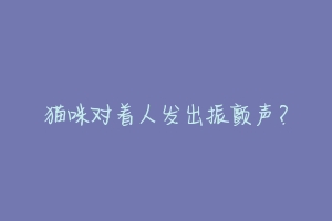 猫咪对着人发出振颤声？-动物百科