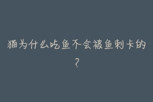 猫为什么吃鱼不会被鱼刺卡的？-动物百科
