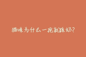 猫咪为什么一抱就踩奶？-动物百科