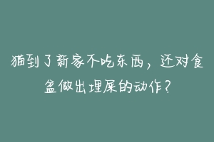 猫到了新家不吃东西，还对食盆做出埋屎的动作？-动物百科