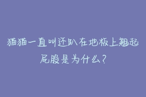 猫猫一直叫还趴在地板上翘起屁股是为什么?-动物百科