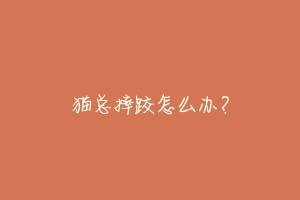 猫总摔跤怎么办?-动物百科