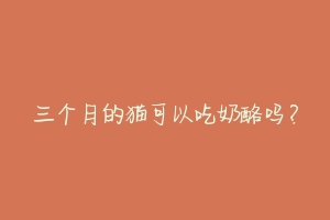 三个月的猫可以吃奶酪吗？-动物百科