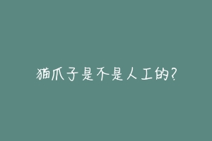 猫爪子是不是人工的？-动物百科