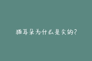 猫耳朵为什么是尖的?-动物百科