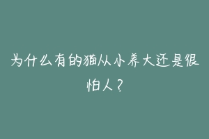 为什么有的猫从小养大还是很怕人?-动物百科