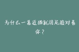 为什么一靠近猫就用屁股对着你?-动物百科