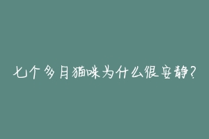 七个多月猫咪为什么很安静?-动物百科