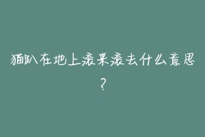 猫趴在地上滚来滚去什么意思?-动物百科