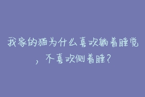 我家的猫为什么喜欢躺着睡觉,不喜欢侧着睡?-动物百科
