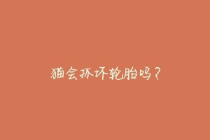 猫会抓坏轮胎吗？-动物百科