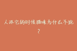 人抓它的时候猫咪为什么不跑？-动物百科