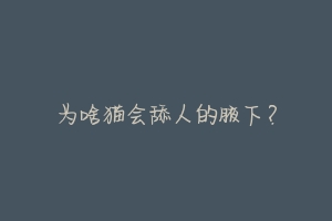 为啥猫会舔人的腋下？-动物百科