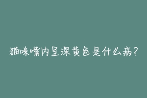 猫咪嘴内呈深黄色是什么病？-动物百科