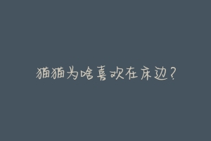 猫猫为啥喜欢在床边？-动物百科