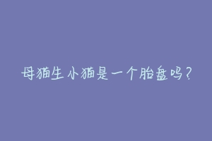 母猫生小猫是一个胎盘吗?-动物百科