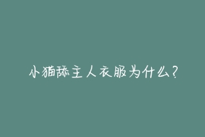 小猫舔主人衣服为什么?-动物百科