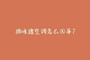 猫咪蹭空调怎么回事?-动物百科