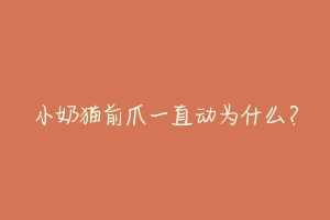 小奶猫前爪一直动为什么?-动物百科