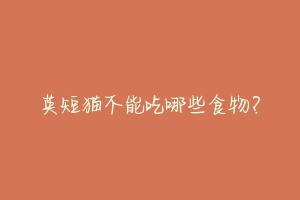 英短猫不能吃哪些食物?-动物百科
