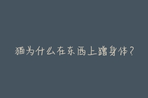 猫为什么在东西上蹭身体?-动物百科