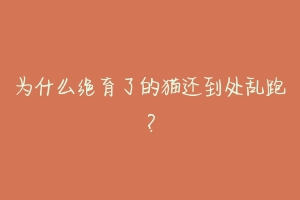 为什么绝育了的猫还到处乱跑?-动物百科