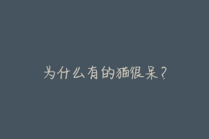 为什么有的猫很呆?-动物百科
