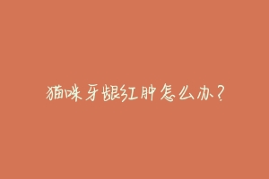 猫咪牙龈红肿怎么办?-动物百科