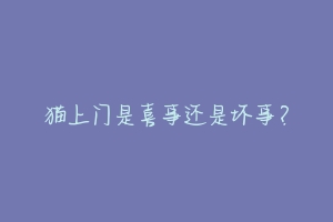 猫上门是喜事还是坏事?-动物百科