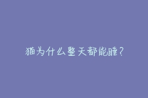 猫为什么整天都能睡?-动物百科