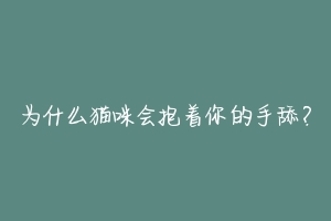 为什么猫咪会抱着你的手舔?-动物百科