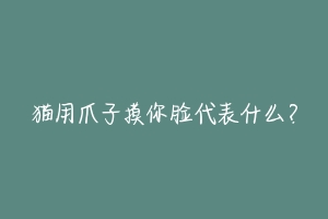 猫用爪子摸你脸代表什么?-动物百科
