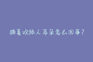 猫喜欢舔人耳朵怎么回事?-动物百科