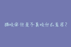 猫咬你但是不真咬什么意思?-动物百科
